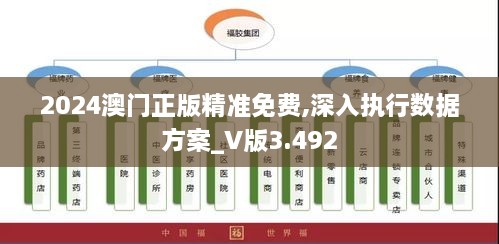 2024澳門(mén)正版精準(zhǔn)免費(fèi),深入執(zhí)行數(shù)據(jù)方案_V版3.492