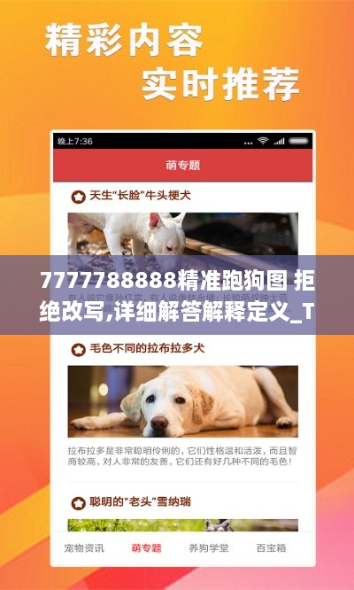 7777788888精準跑狗圖 拒絕改寫,詳細解答解釋定義_Tablet6.153