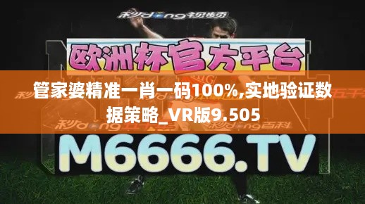 管家婆精準(zhǔn)一肖一碼100%,實地驗證數(shù)據(jù)策略_VR版9.505