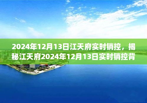 揭秘江天府實(shí)時(shí)銷控背后的秘密，深度解析2024年12月13日數(shù)據(jù)動態(tài)與趨勢分析