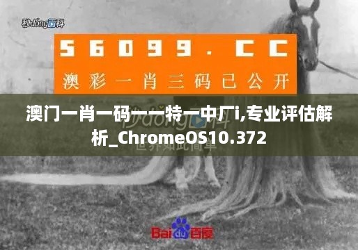 澳門一肖一碼一一特一中廠i,專業(yè)評估解析_ChromeOS10.372