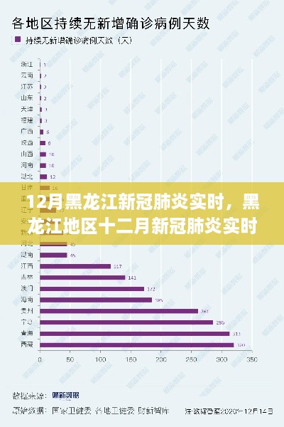 黑龍江地區(qū)十二月新冠肺炎實時狀況分析與探討