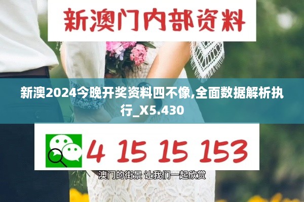 新澳2024今晚開獎(jiǎng)資料四不像,全面數(shù)據(jù)解析執(zhí)行_X5.430