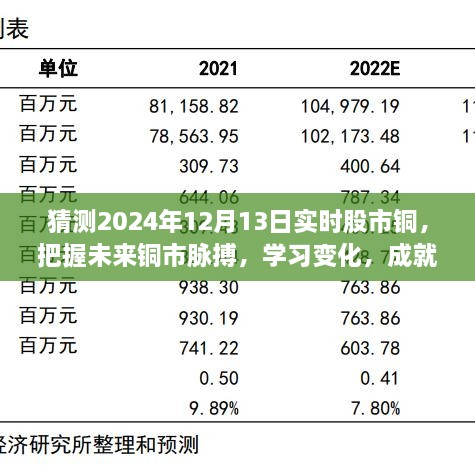 揭秘2024年12月13日股市銅市走向，洞悉變化成就投資夢想