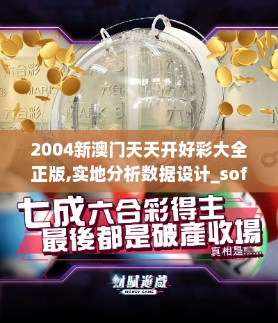 2004新澳門天天開好彩大全正版,實地分析數(shù)據(jù)設(shè)計_soft4.733