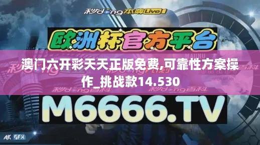 澳門六開彩天天正版免費,可靠性方案操作_挑戰(zhàn)款14.530