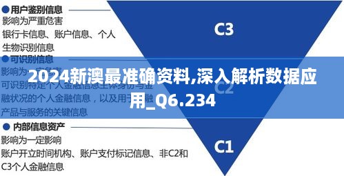 2024新澳最準確資料,深入解析數(shù)據(jù)應用_Q6.234