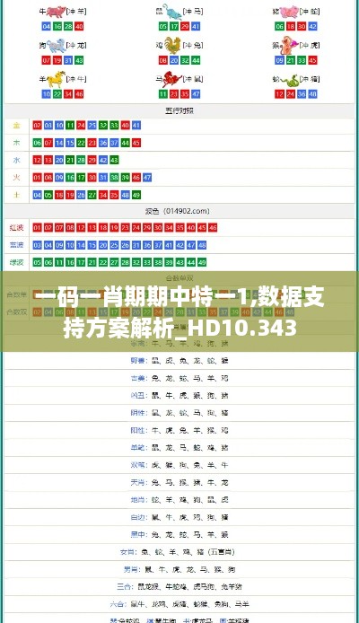 一碼一肖期期中特一1,數據支持方案解析_HD10.343