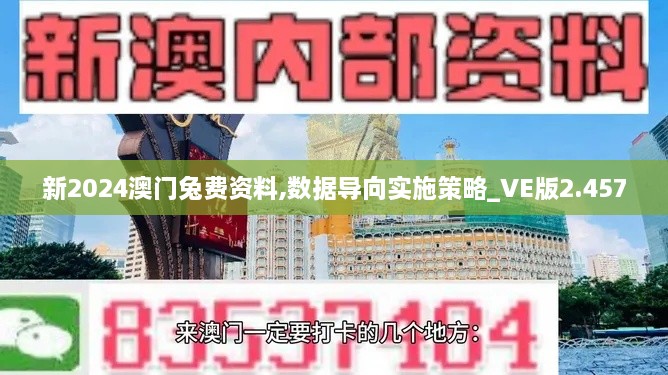 新2024澳門兔費(fèi)資料,數(shù)據(jù)導(dǎo)向?qū)嵤┎呗訽VE版2.457