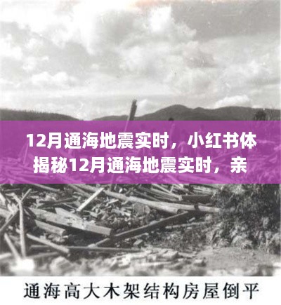 揭秘通海地震親歷者真實感受與應對策略，小紅書實時更新地震動態(tài)！