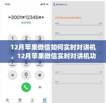 12月蘋(píng)果微信實(shí)時(shí)對(duì)講機(jī)功能使用指南，步驟詳解與操作技巧