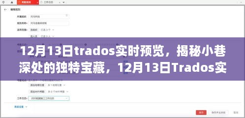 揭秘小巷深處的獨(dú)特寶藏，Trados實(shí)時(shí)預(yù)覽之旅（12月13日）