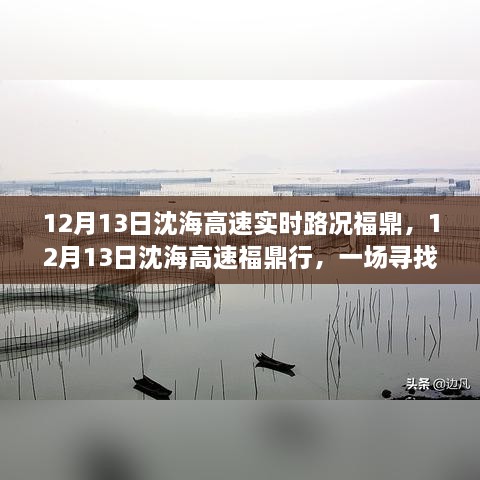 12月13日沈海高速福鼎路況實(shí)時(shí)更新，心靈與自然之旅的親密接觸