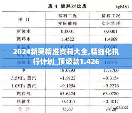 2024新奧精準(zhǔn)資料大全,精細(xì)化執(zhí)行計(jì)劃_頂級款1.426