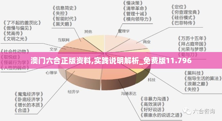 澳門六合正版資料,實(shí)踐說(shuō)明解析_免費(fèi)版11.796