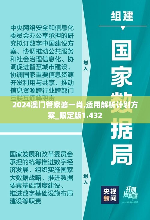 2024澳門管家婆一肖,適用解析計劃方案_限定版1.432