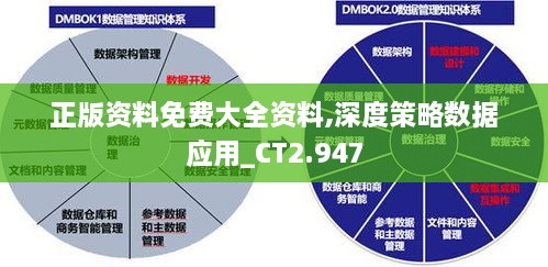 正版資料免費大全資料,深度策略數(shù)據(jù)應用_CT2.947