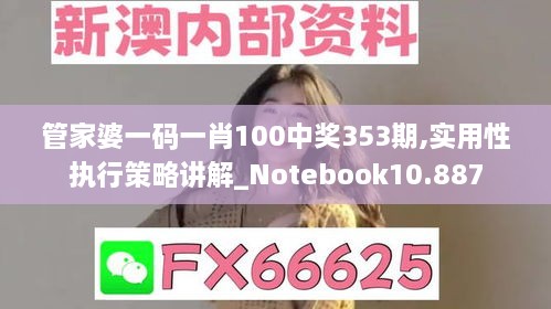 管家婆一碼一肖100中獎353期,實用性執(zhí)行策略講解_Notebook10.887