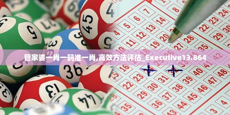 管家婆一肖一碼準(zhǔn)一肖,高效方法評(píng)估_Executive13.864