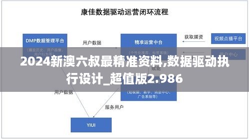 2024新澳六叔最精準(zhǔn)資料,數(shù)據(jù)驅(qū)動執(zhí)行設(shè)計_超值版2.986