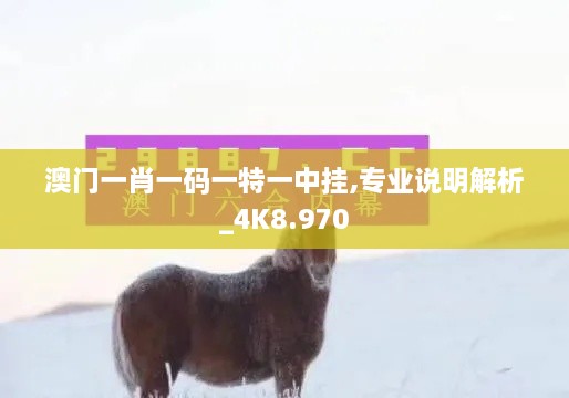 澳門一肖一碼一特一中掛,專業(yè)說(shuō)明解析_4K8.970