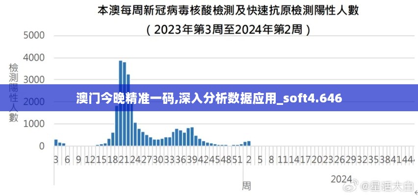 澳門今晚精準(zhǔn)一碼,深入分析數(shù)據(jù)應(yīng)用_soft4.646