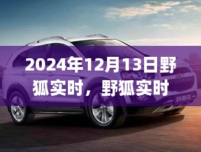 野狐實(shí)時(shí)，溫馨日常中的歡樂時(shí)光（2024年12月13日）