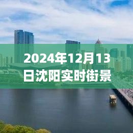 沈陽獨家揭秘，2024年實時街景地圖全解析，領(lǐng)略城市新風貌