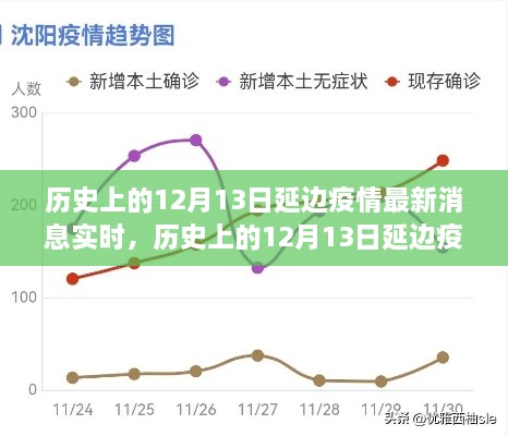 多維度視角下的深度分析，歷史上的延邊疫情最新消息實(shí)時(shí)報(bào)道與解讀（截至12月13日）