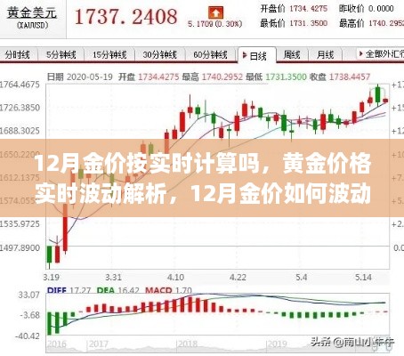 12月黃金價格實(shí)時解析，波動原因及預(yù)測