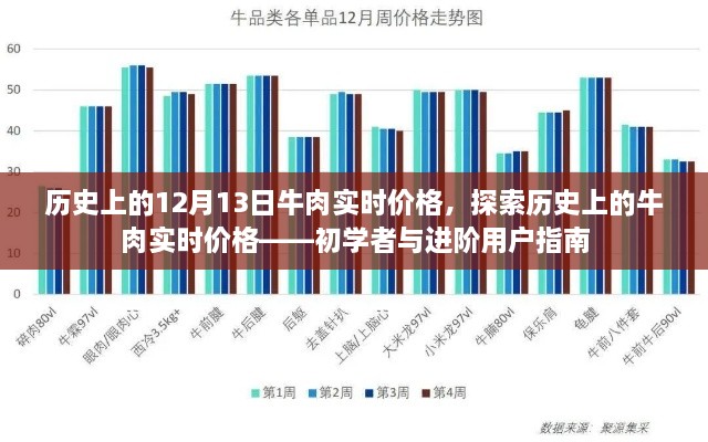 歷史上的牛肉實時價格探索，從入門到進階的指南