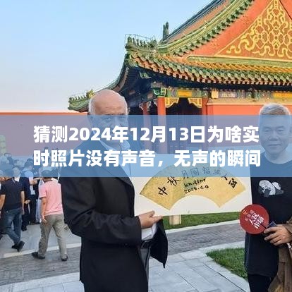 揭秘?zé)o聲瞬間背后的故事，為何2024年實(shí)時(shí)照片無(wú)聲開啟學(xué)習(xí)與成長(zhǎng)之旅？