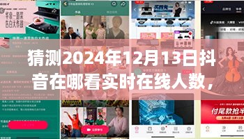 未來(lái)視野之旅，揭秘2024年抖音實(shí)時(shí)在線人數(shù)盛況——家庭日，在線情緣的見(jiàn)證