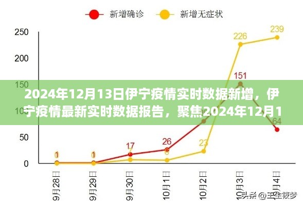 2024年12月13日伊寧疫情實時數(shù)據(jù)報告，聚焦最新新增情況