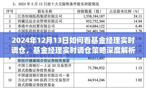 基金經(jīng)理實時調倉深度解析，洞悉策略與投資機會（2024年12月13日投資洞察）