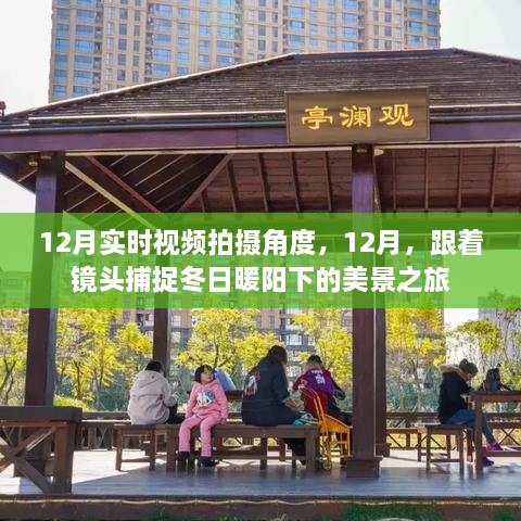 12月冬日美景之旅，捕捉暖陽下的絕佳拍攝角度