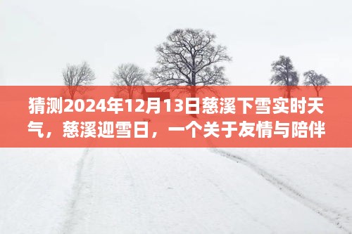 慈溪雪日溫情，友情與陪伴的溫馨故事，預(yù)測(cè)2024年12月13日實(shí)時(shí)天氣