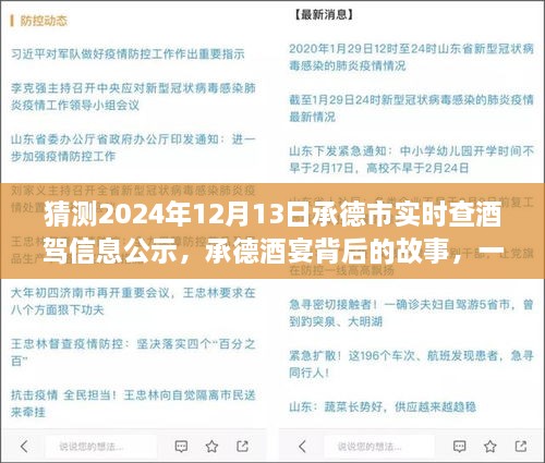 承德酒宴背后的故事，酒駕信息公示探秘之旅（猜測(cè)2024年12月13日承德市實(shí)時(shí)查酒駕信息公示）