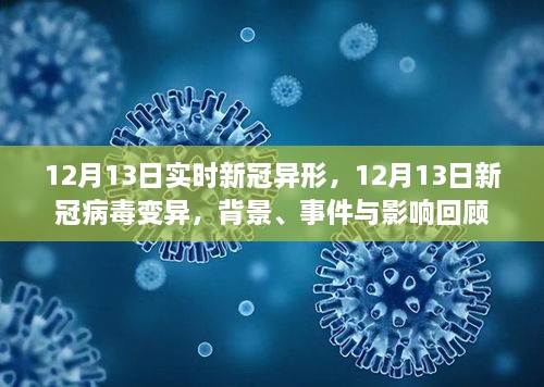 回顧，新冠病毒變異背景、事件與影響——以12月13日新冠病毒變異為例