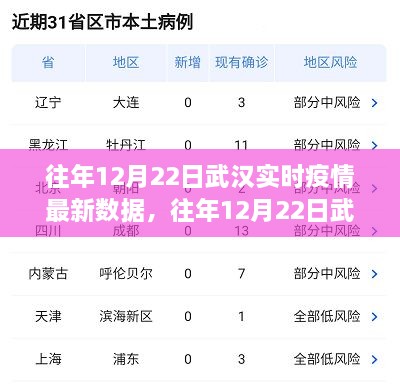往年12月22日武漢實時疫情數(shù)據(jù)深度解析，特性、體驗、競品對比及用戶群體分析報告