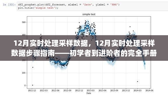 從新手到高手，12月實時處理采樣數(shù)據(jù)的完全指南與步驟解析