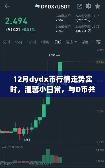 12月dydx幣行情下的快樂時光，實(shí)時走勢與溫馨日常