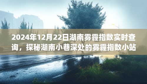 探秘湖南小巷深處，霧霾指數(shù)小站實(shí)時(shí)查詢之旅（2024年12月22日）