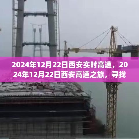 西安高速之旅，探尋自然懷抱，心靈寧靜之旅（2024年12月22日）