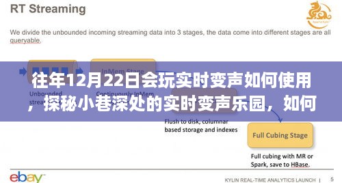 探秘實(shí)時(shí)變聲樂(lè)園，揭秘往年12月22日的神奇變聲技巧與樂(lè)園體驗(yàn)指南