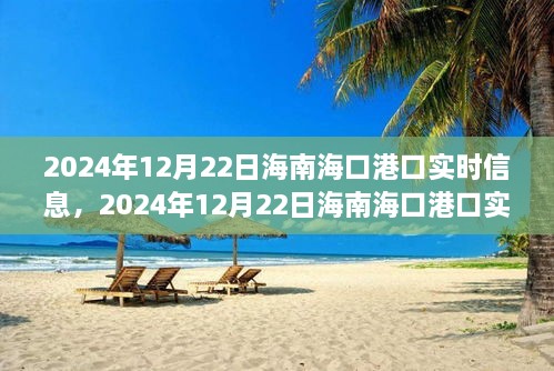 2024年12月22日海南?？诟劭趯?shí)時(shí)信息全解析，小紅書帶你掌握最新動(dòng)態(tài)