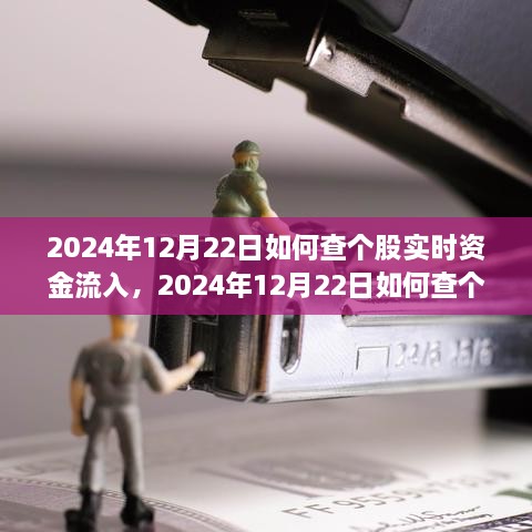 多維度解析與觀點(diǎn)探討，如何查詢個(gè)股實(shí)時(shí)資金流入——以2024年12月22日為例