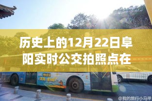 歷史上的12月22日阜陽(yáng)公交之旅，探尋實(shí)時(shí)公交拍照點(diǎn)，尋找心靈的寧?kù)o與自然的饋贈(zèng)