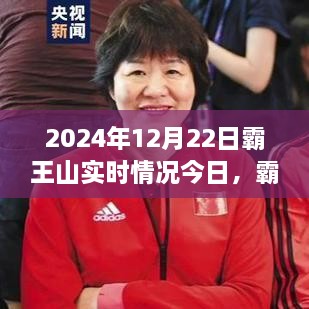 霸王山新篇章，學習變化中的自信與成就之旅（實時更新2024年12月22日）