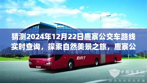 鹿寨公交路線新探秘，啟程2024年12月22日，探尋自然美景之旅實時查詢